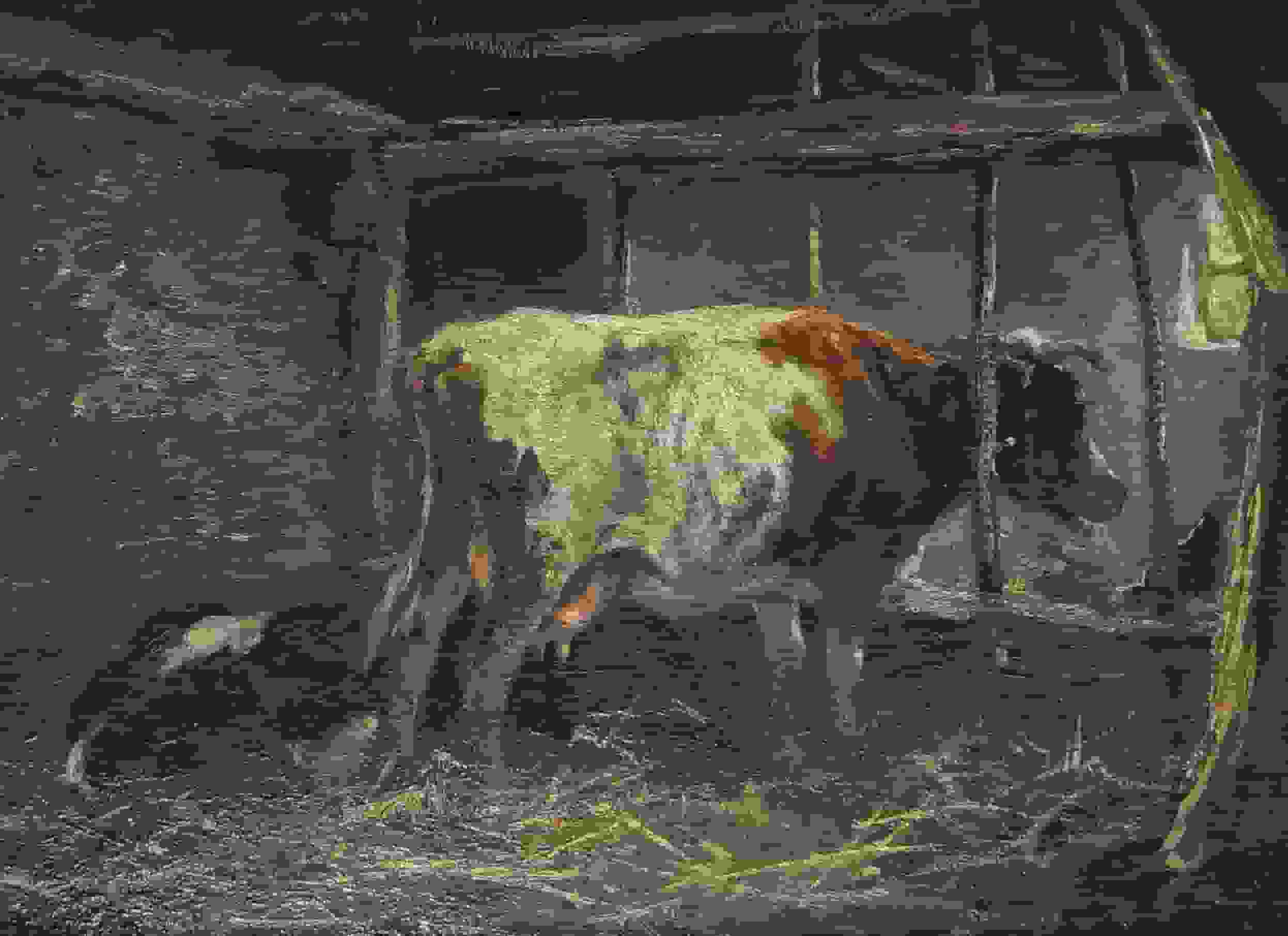 Johan Scherrewitz - Koe op stal (zonder lijst)