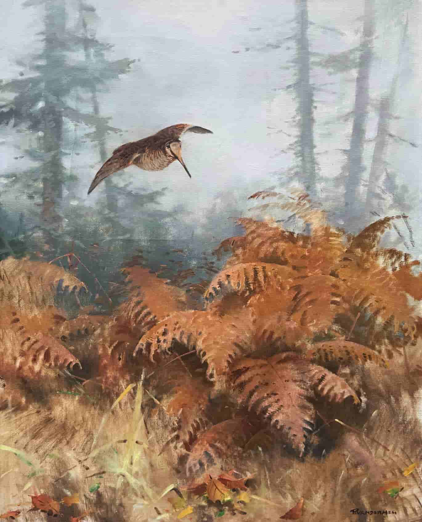 Piet van der Hem - Houtsnip in het bos (zonder lijst)