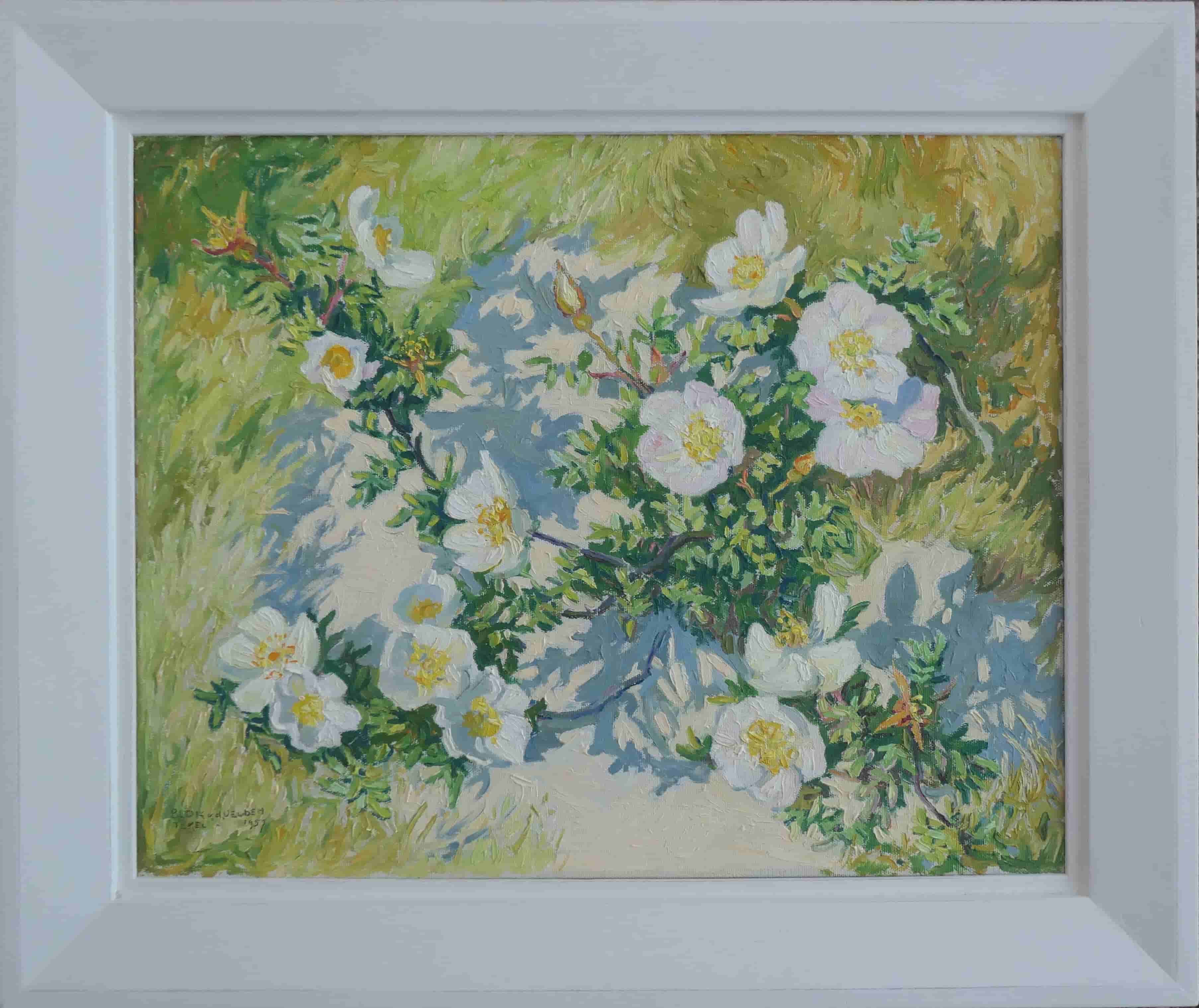 Ad Blok van der Velden - Duinroosjes (met lijst)