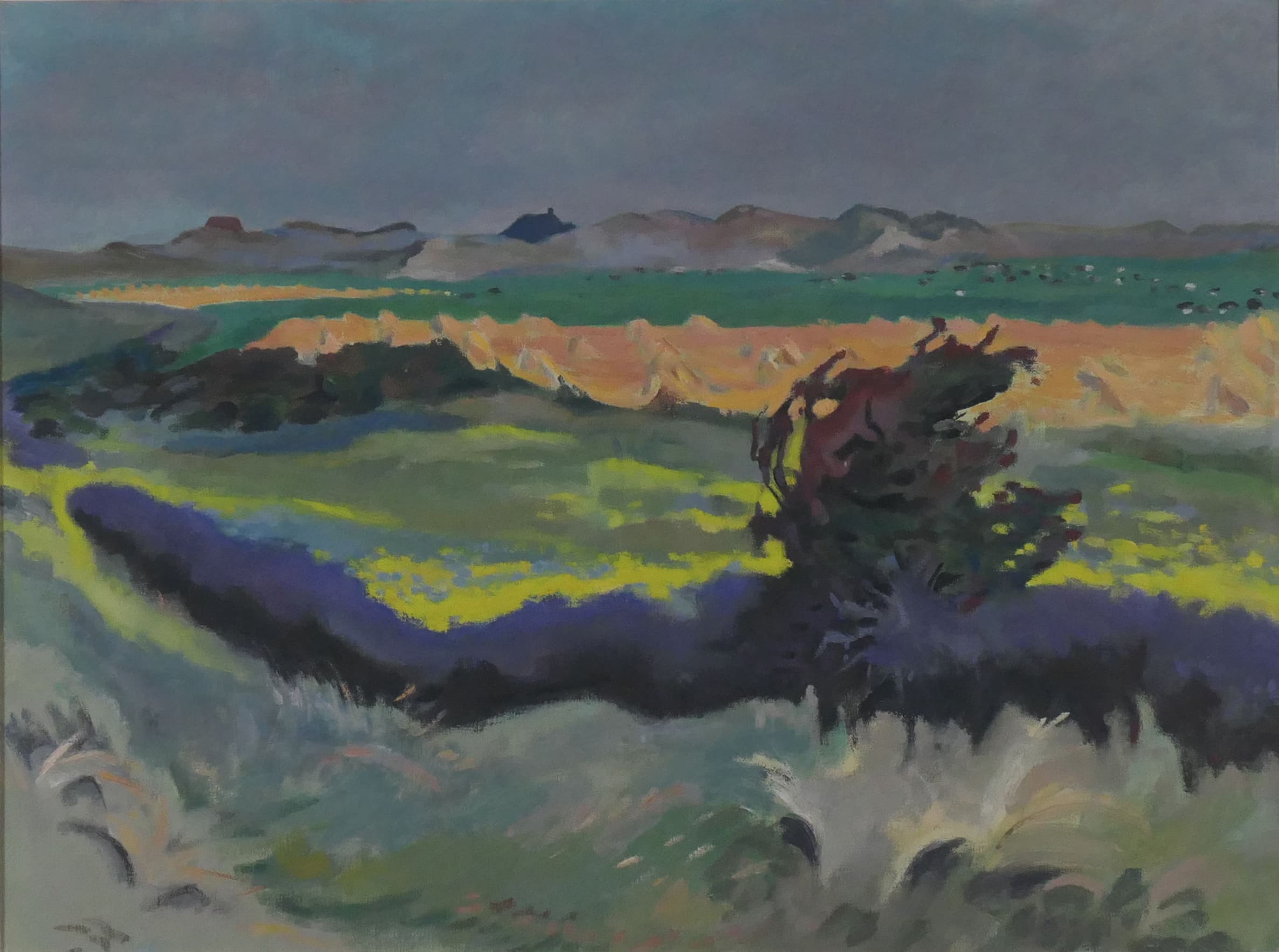 Gezicht op Texel zonder lijst