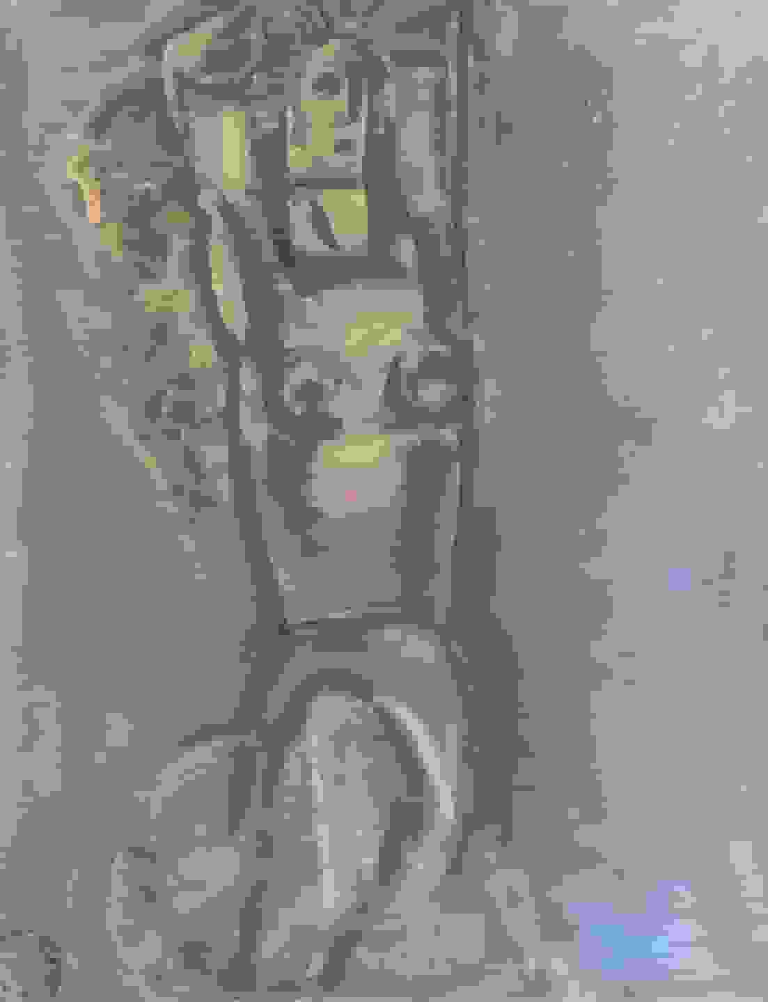 Naakt