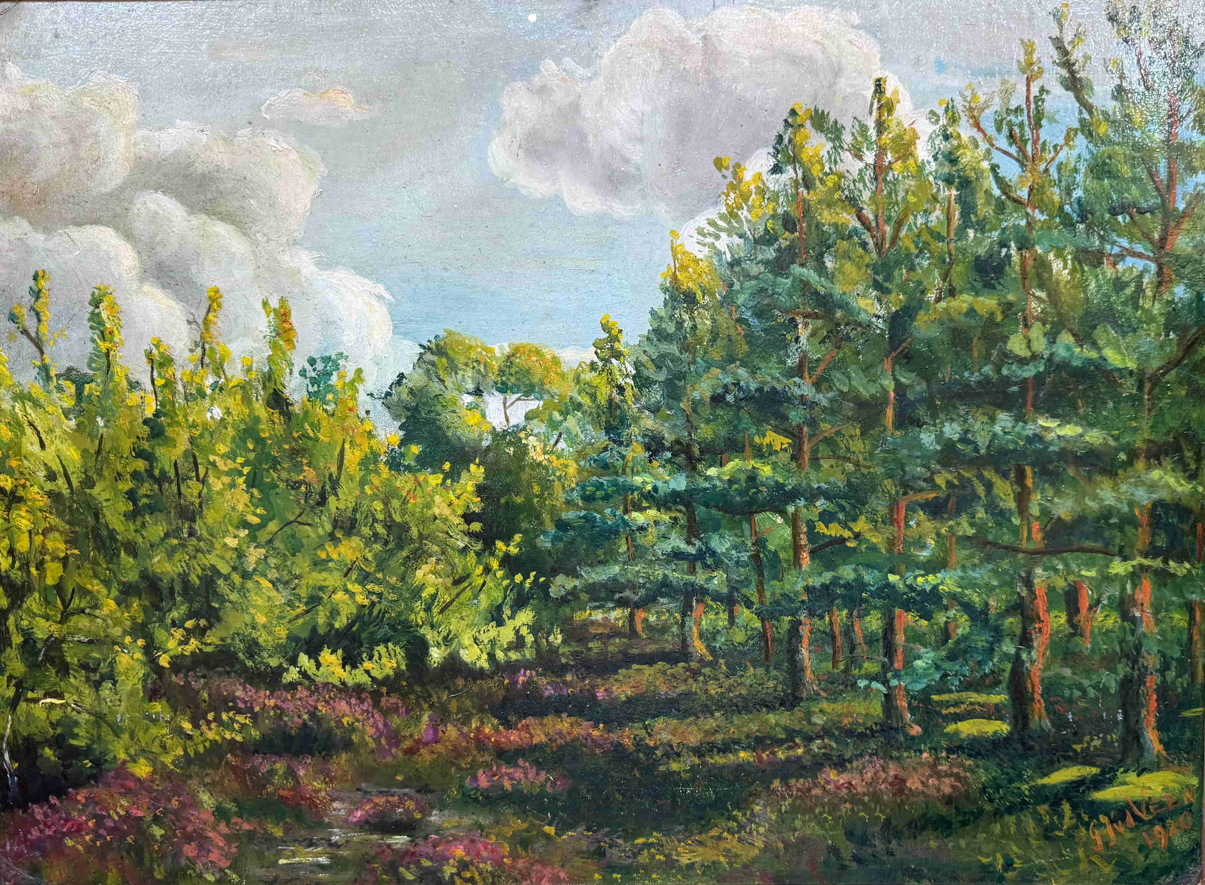 Gerrit van der Veen - Bosgezicht