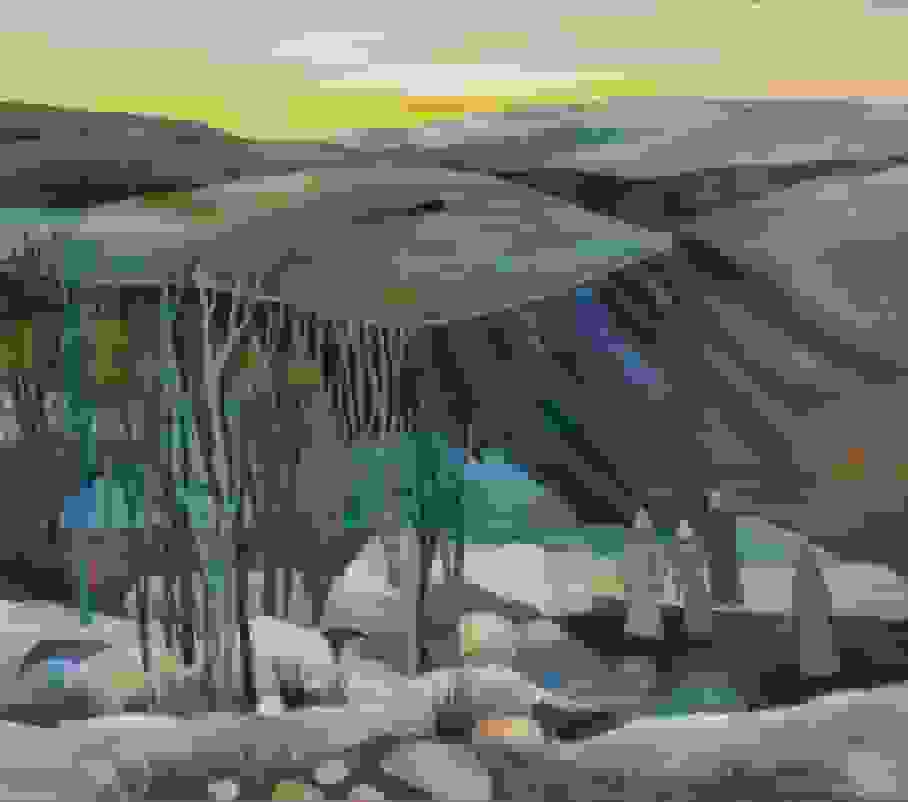 Edith van Leckwyck - De Afghanen (zonder lijst)