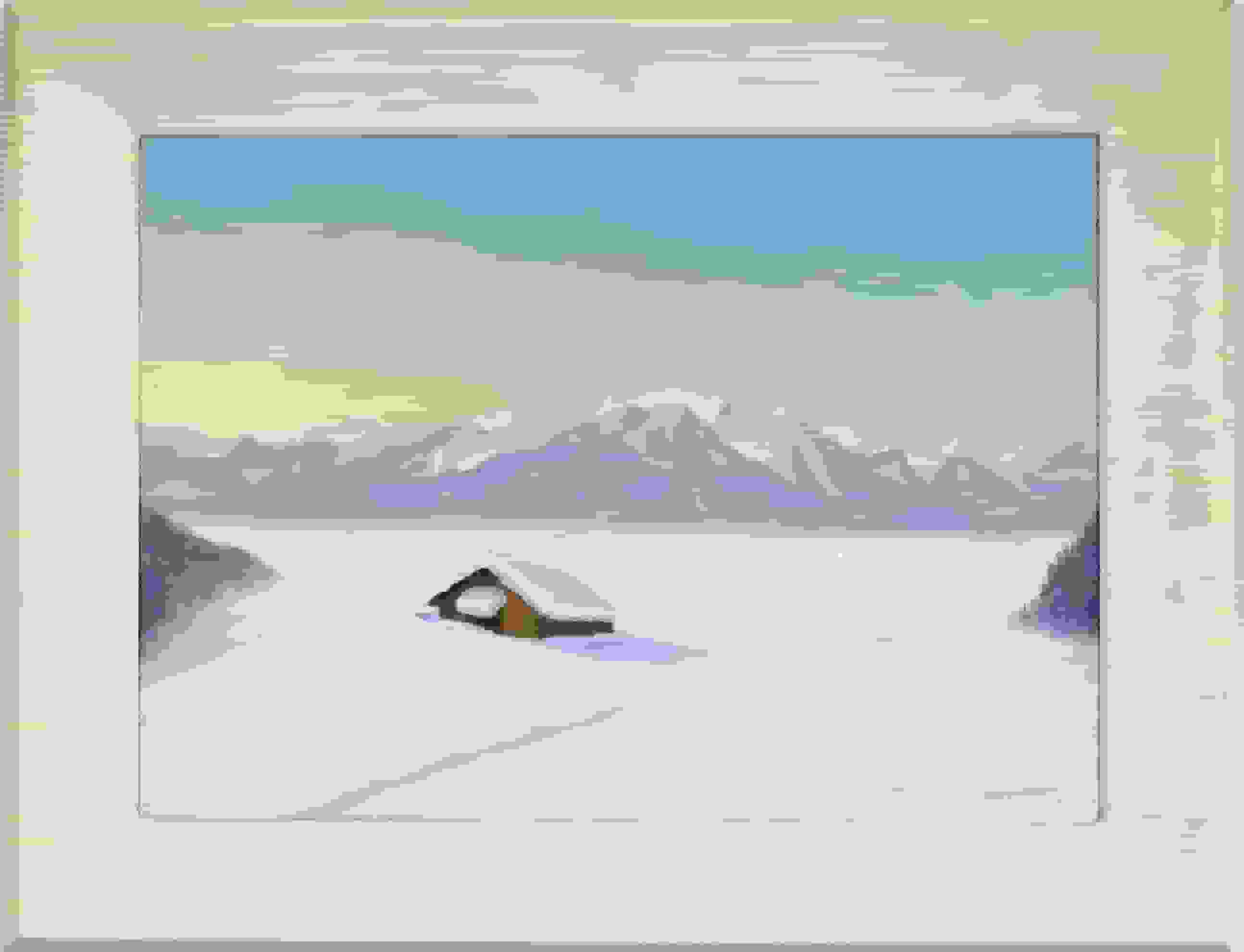 Dirk Smorenberg - Les Avants, Zwitserland (met lijst)