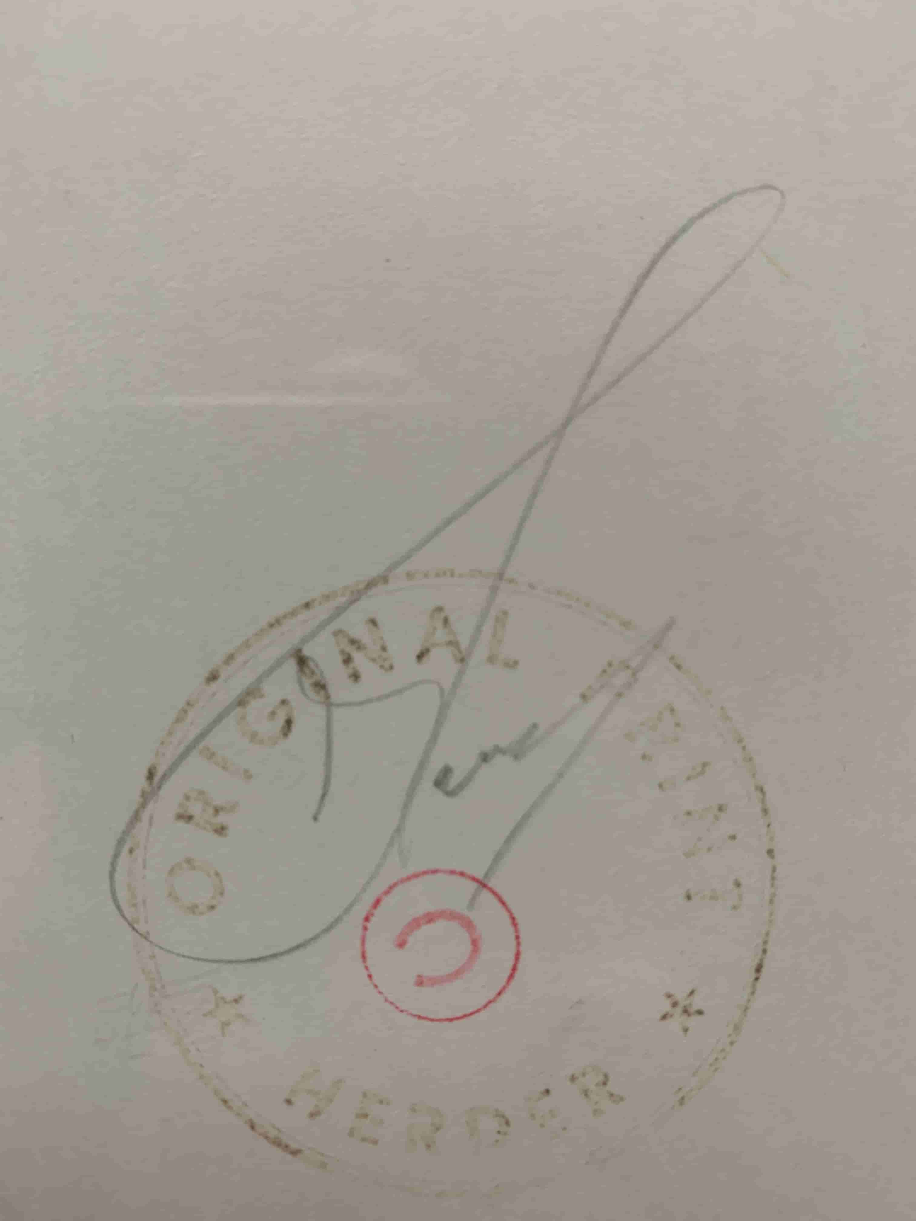 Dirk de Herder - Het perron Amsterdam - No travel without your case full of dreams (in het echt)