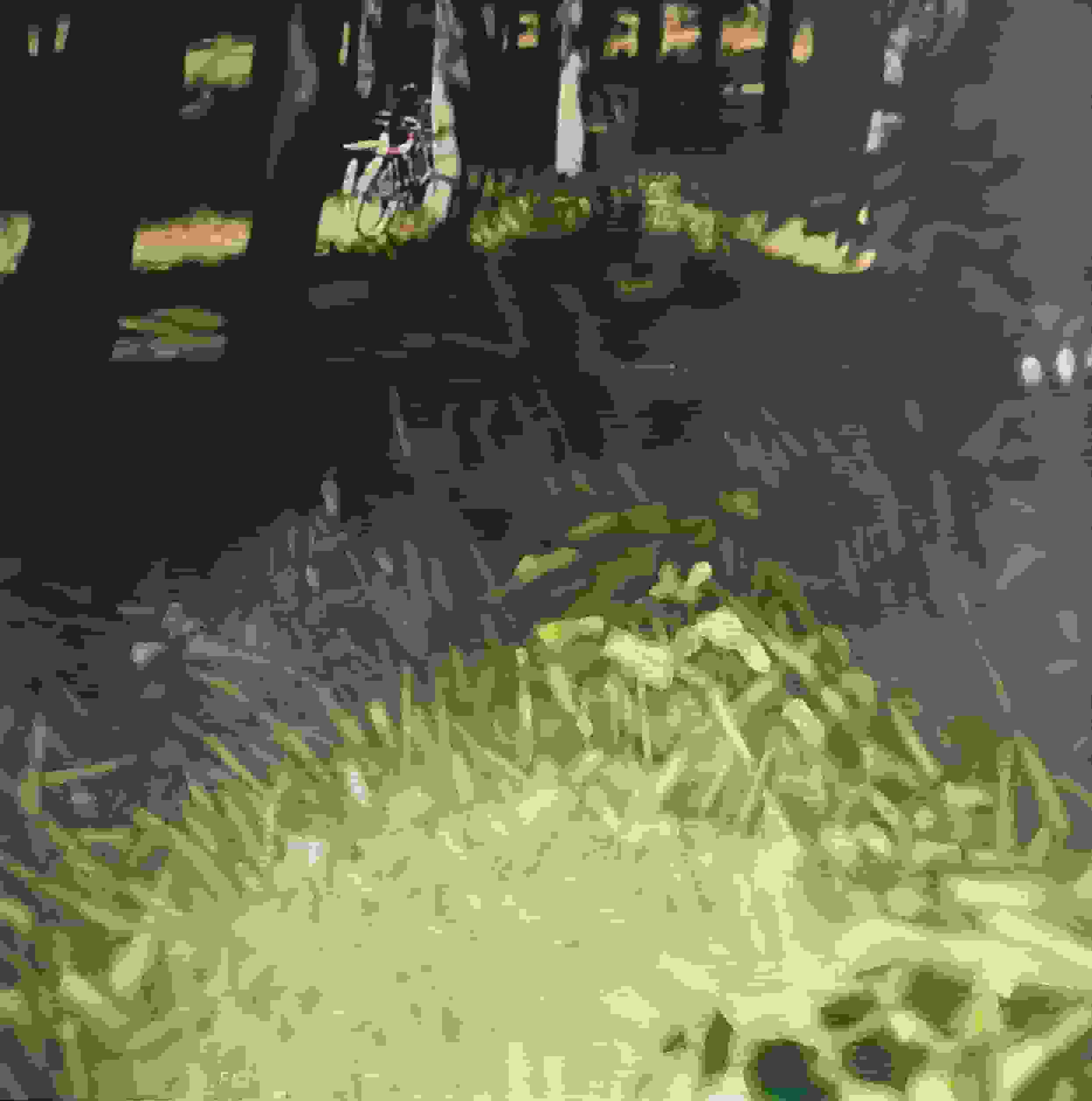 Frans Koppelaar - Fietsen in het bos (zonder lijst)