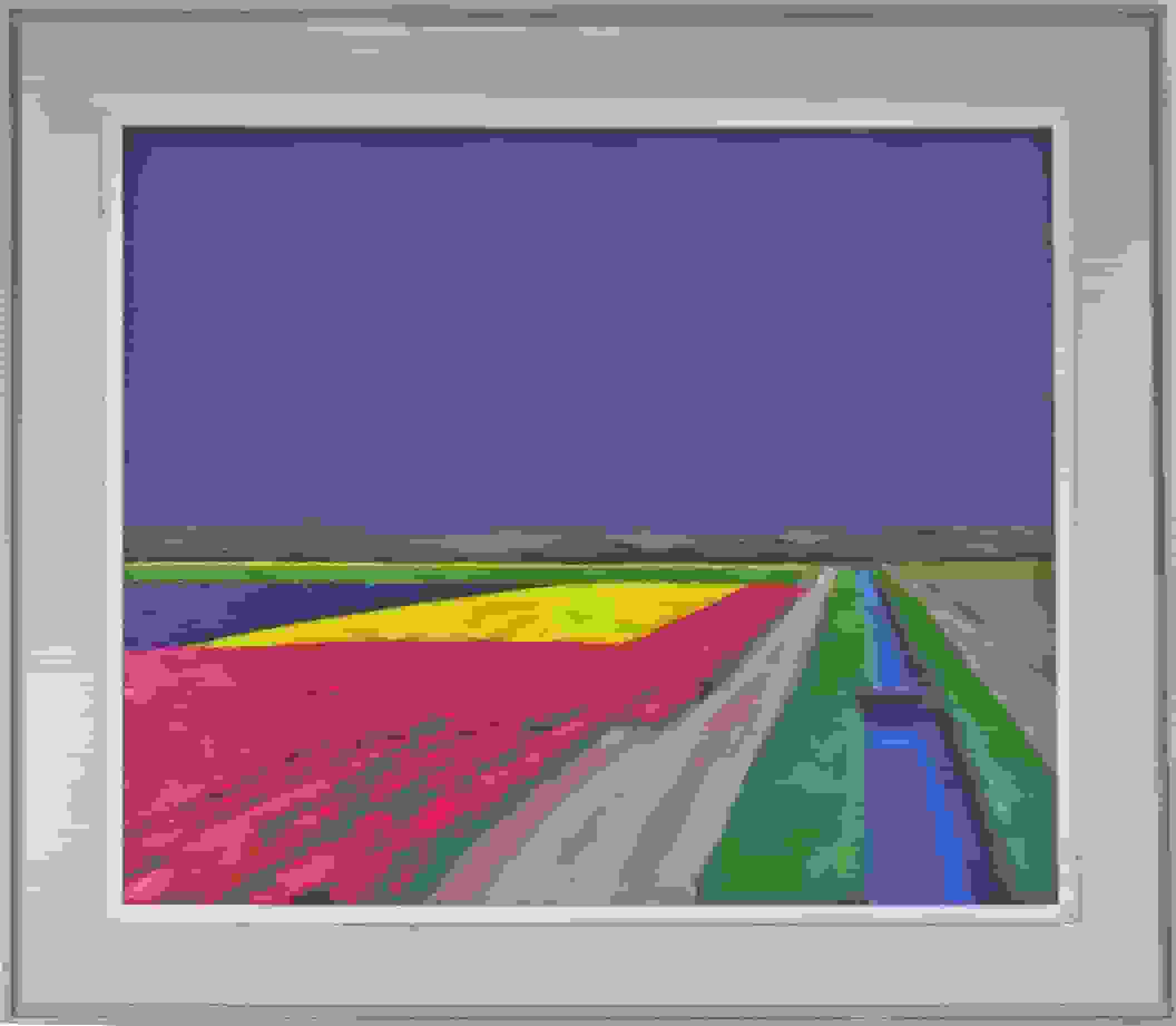 Jentsje Popma - Bollenvelden (met lijst)