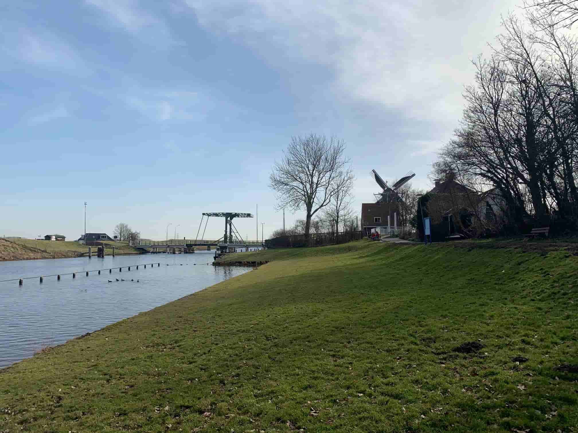 Johan Dijkstra - Zomer in Garnwerd (in het echt)