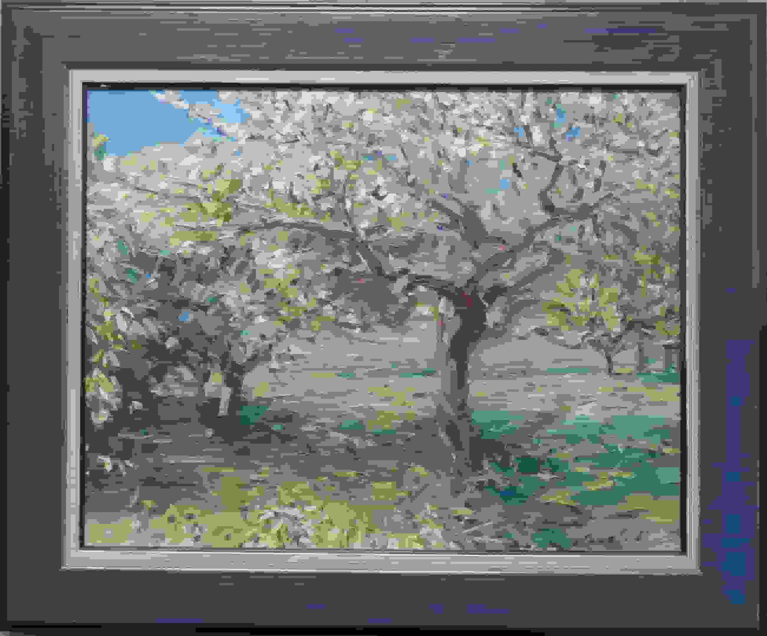 Hans Versfelt - Bloesemboom (met lijst)