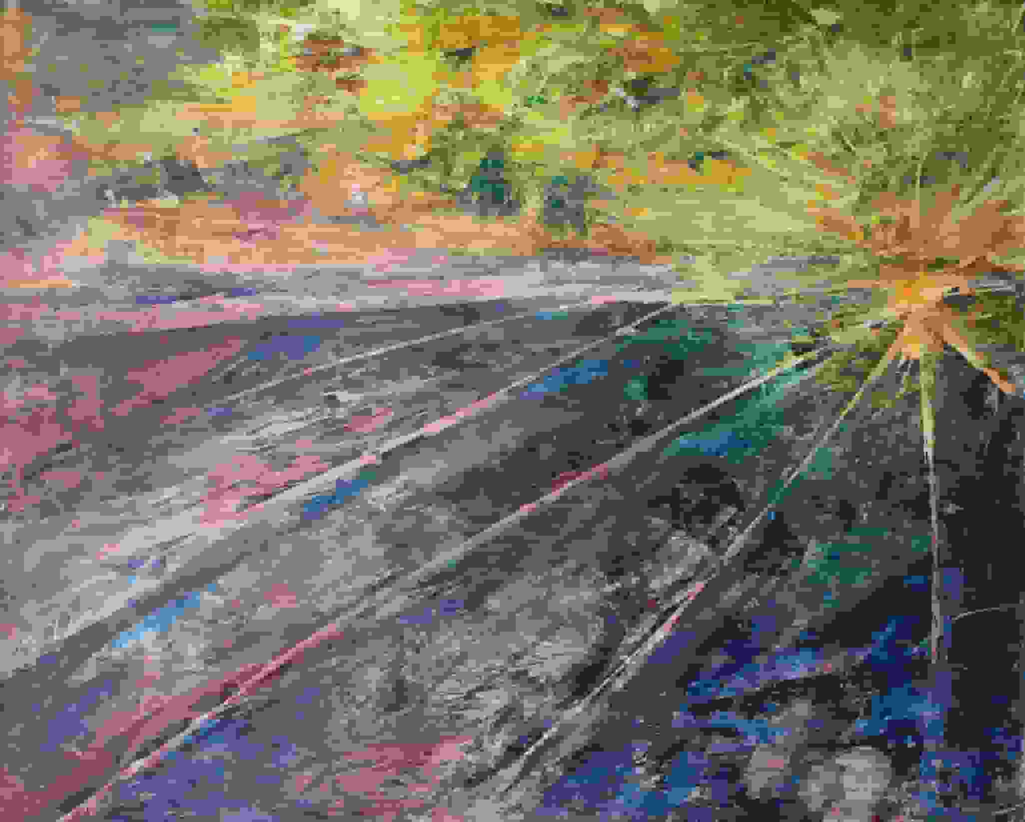 The land is waking up I