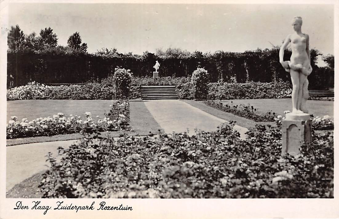 Rozentuin Zuiderpark Den Haag zonder lijst