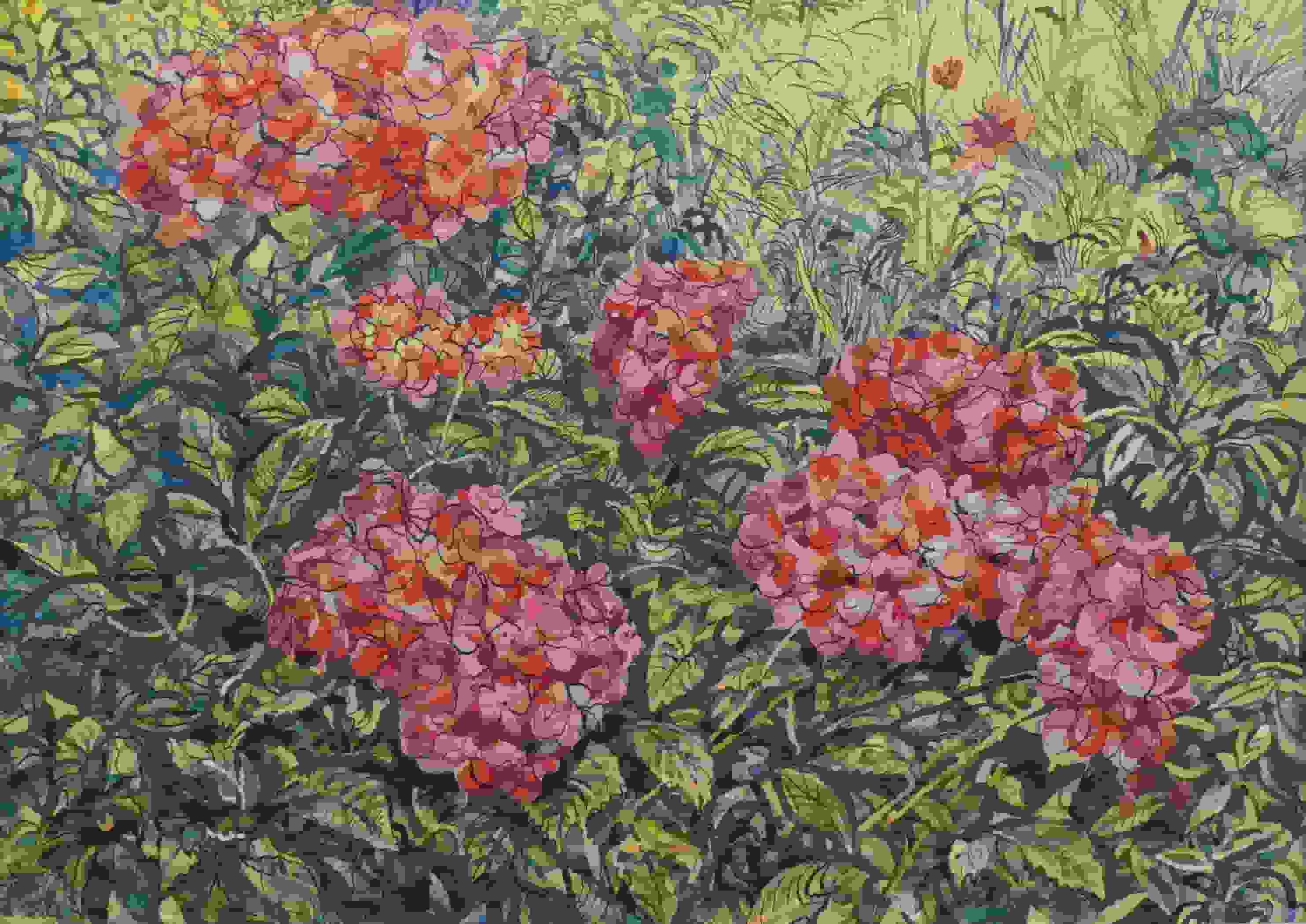 Tuin met hortensia