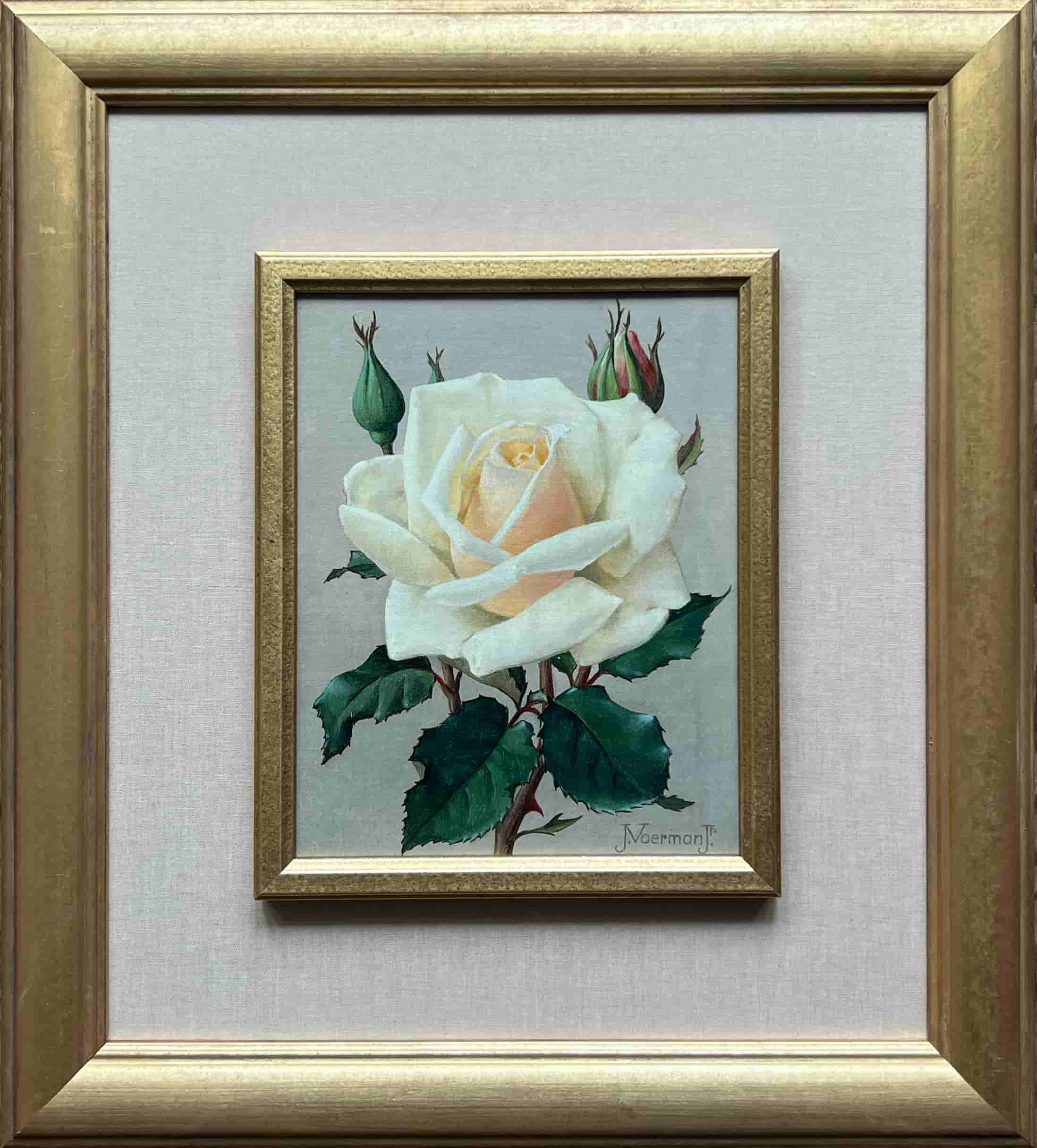 Jan Voerman jr - Witroze roos (met lijst)