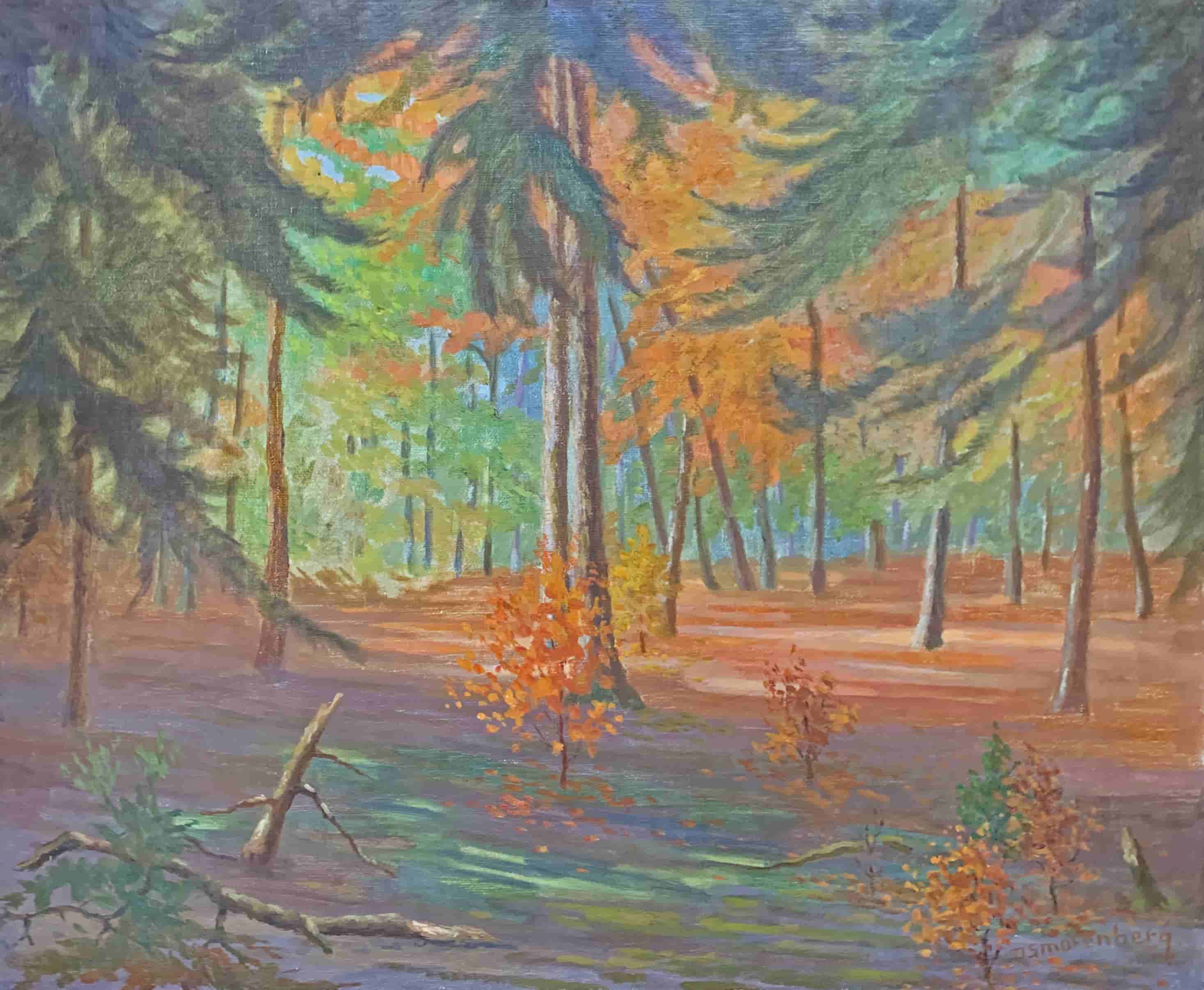 Dirk Smorenberg - Herfst in het bos (zonder lijst)