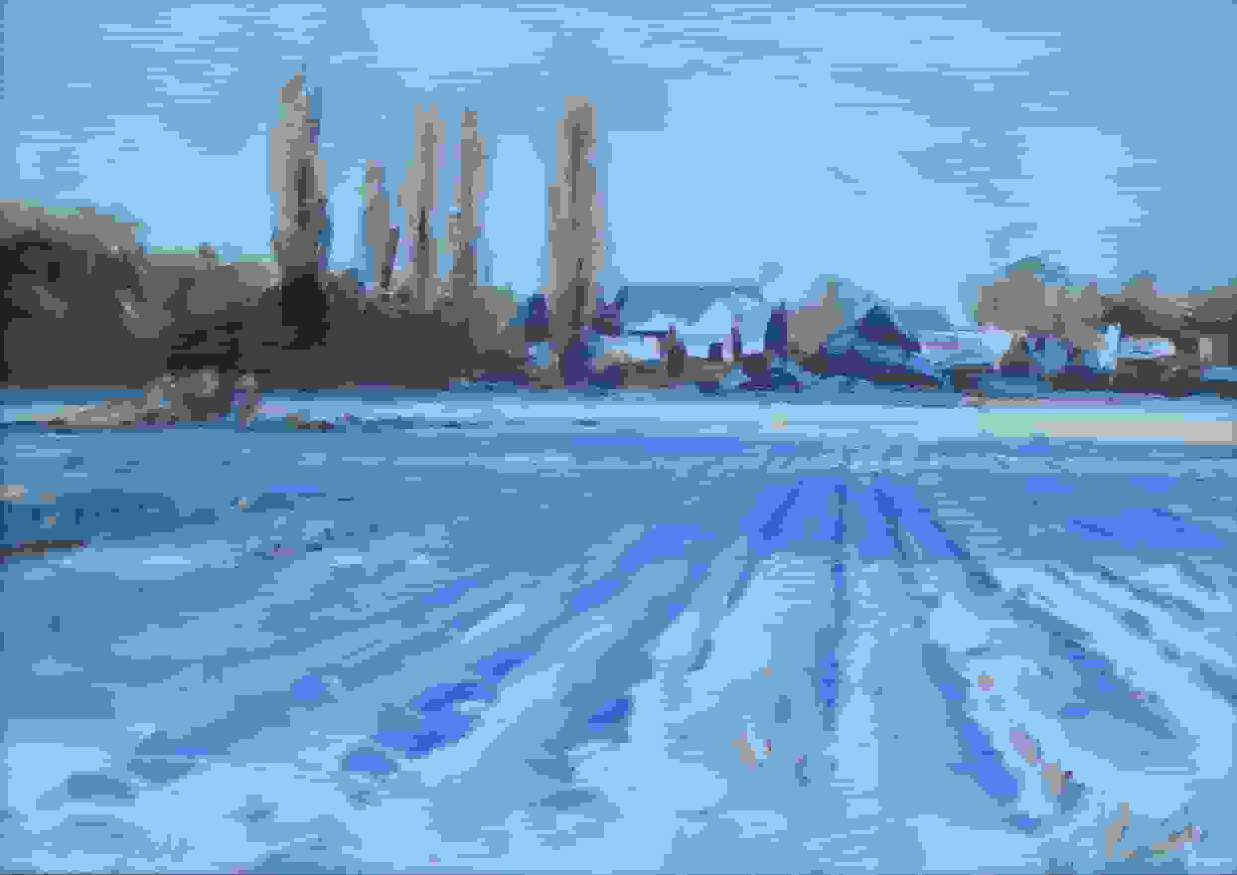 Sneeuwlandschap bij Lage-Zwaluwe