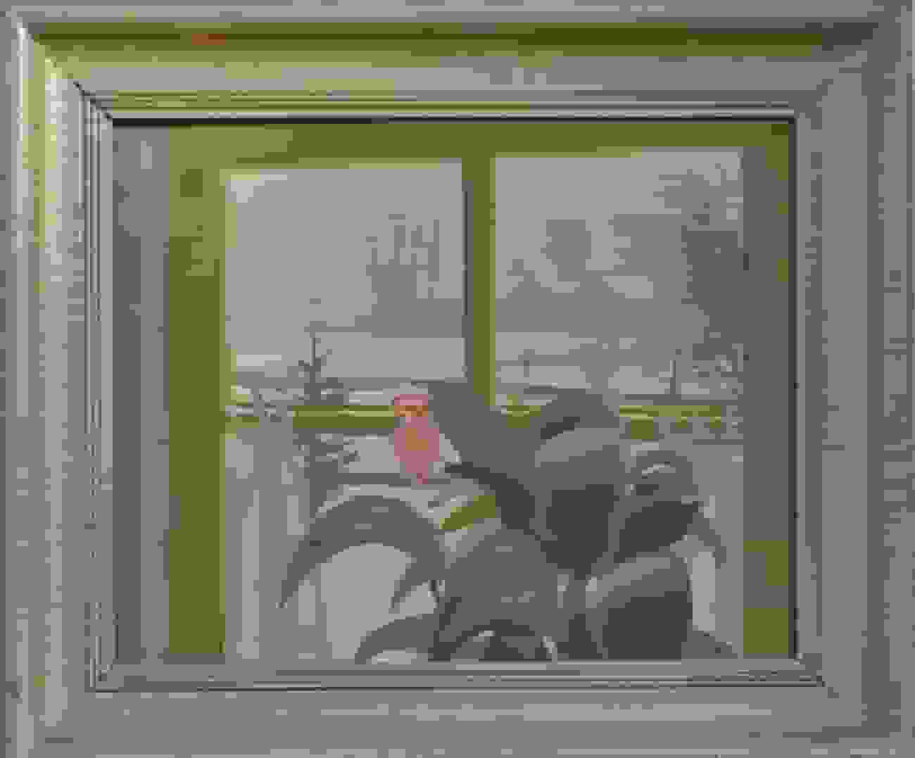 Dirk Smorenberg - Winters Loosdrecht vanuit het huis (met lijst)