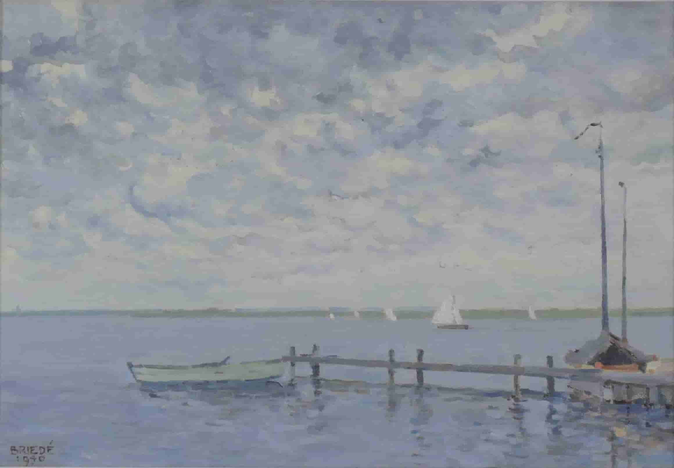 Johan Briedé - Loosdrechtseplas