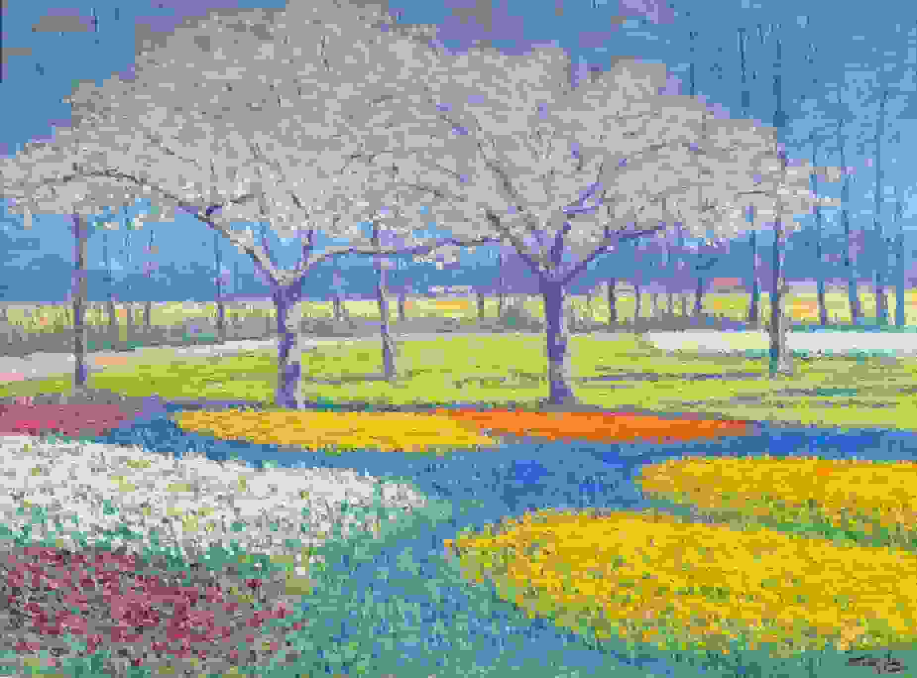 Niek van der Plas - Keukenhof te Lisse (zonder lijst)