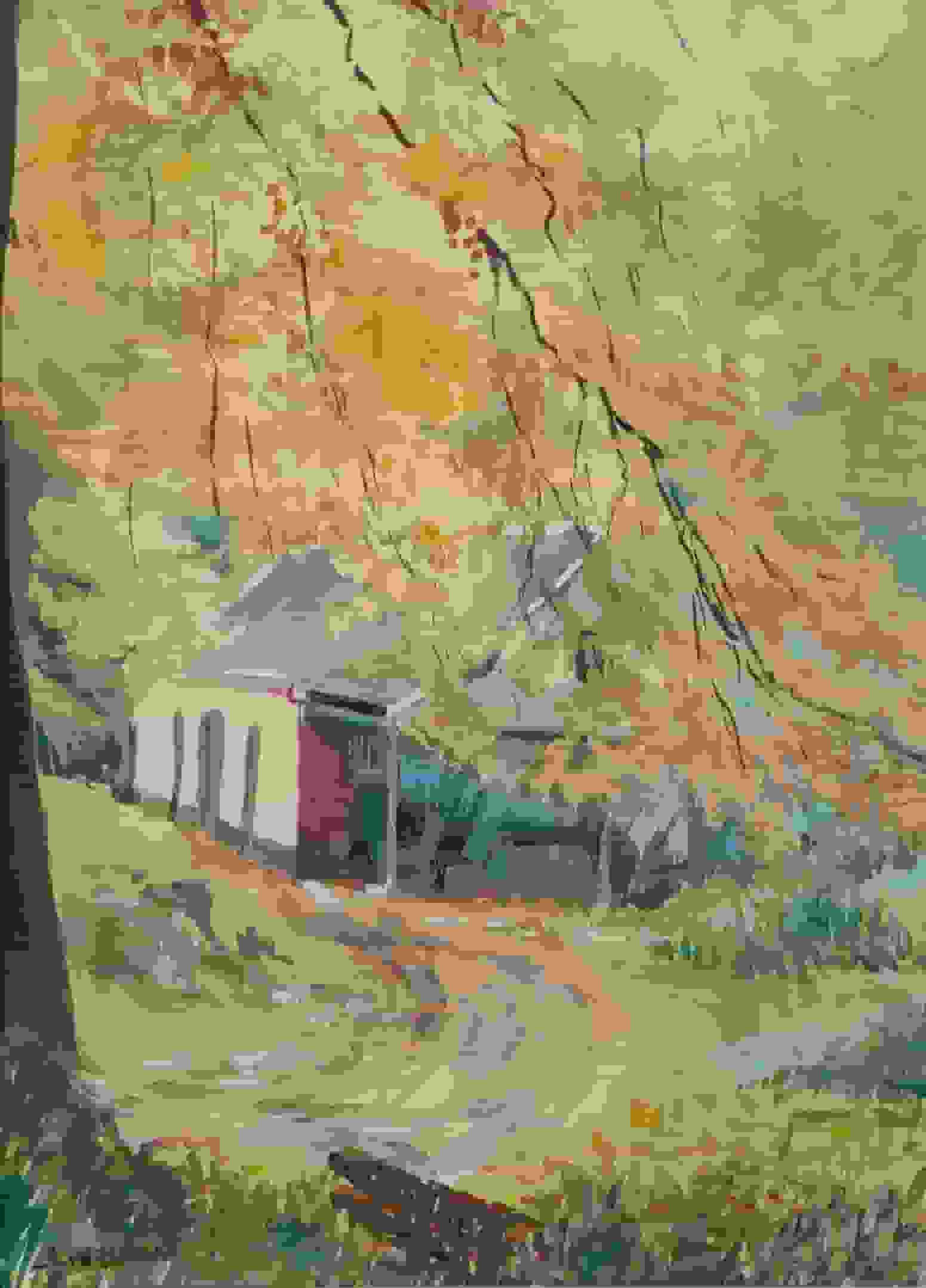 Huis tussen de bomen